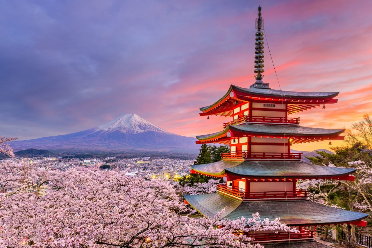 Join Our December School Trip to Japan!
