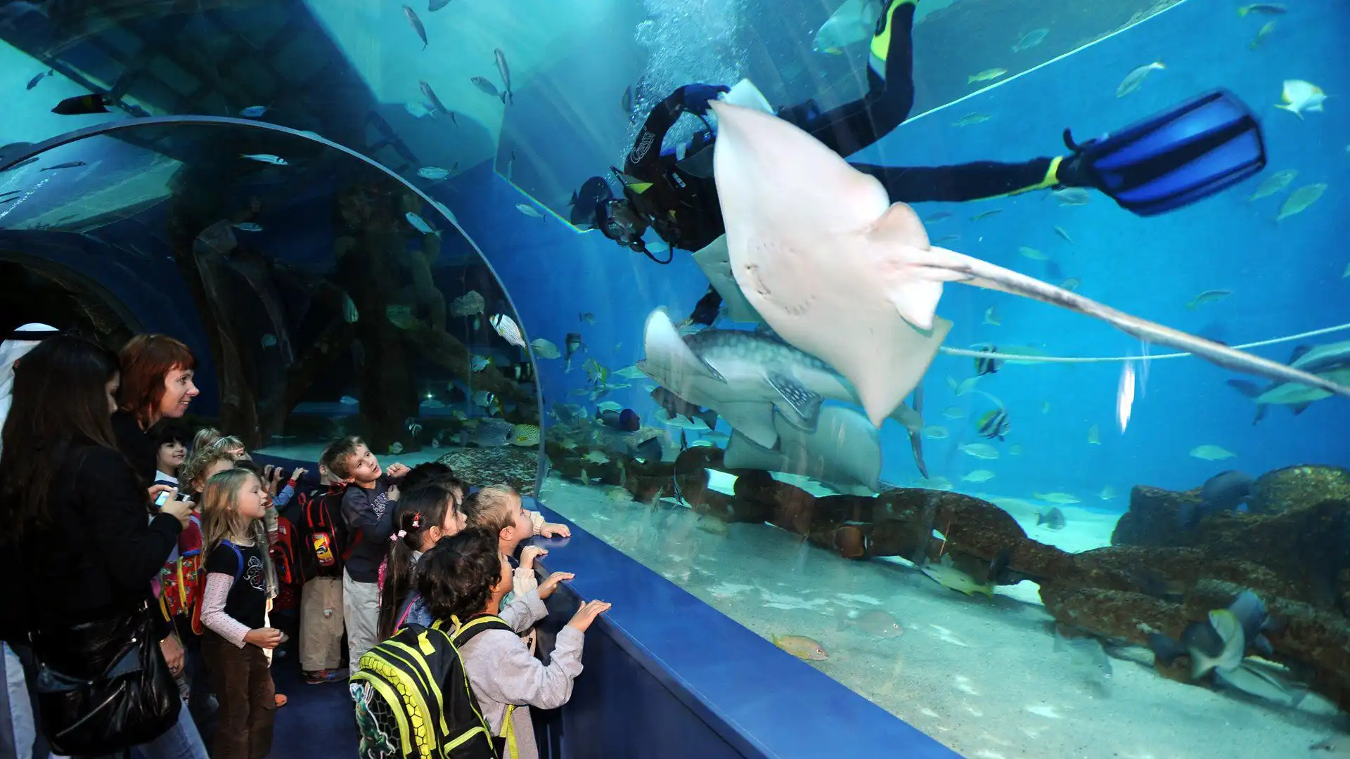 Sharjah Aquarium